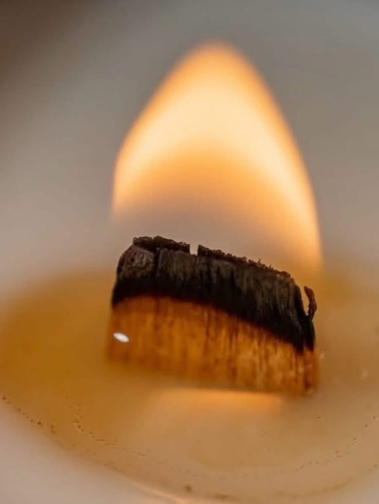 APOTHECARY SOY WAX CANDLE