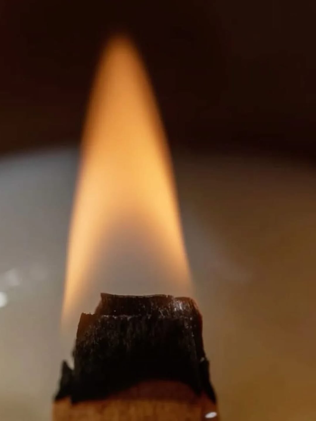 BLACK VANILLA + MUSK SOY WAX CANDLE