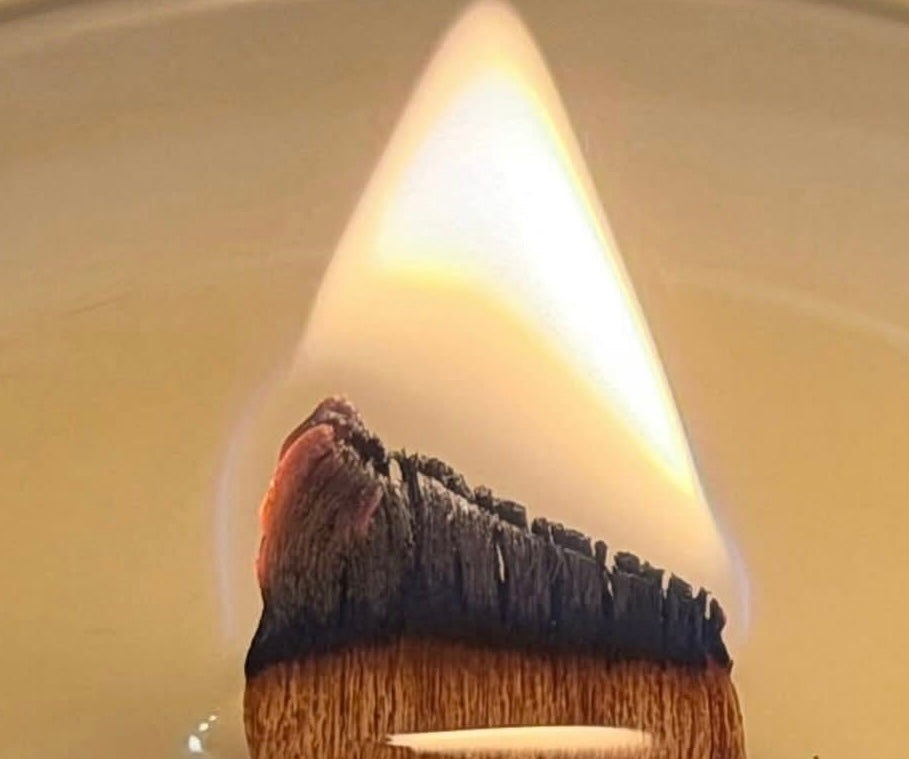 BALTIC DEW SOY WAX CANDLE