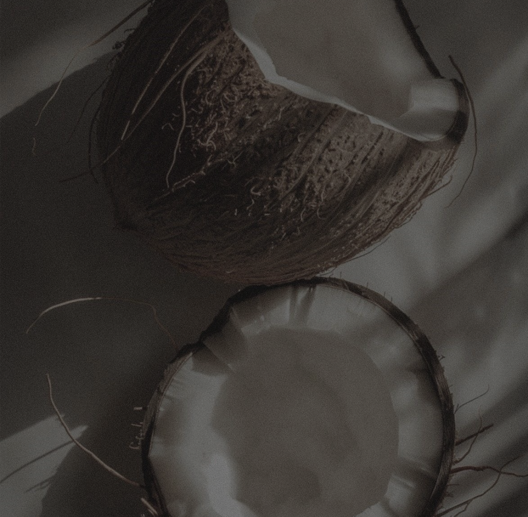 BLACK COCONUT SOY WAX CANDLE