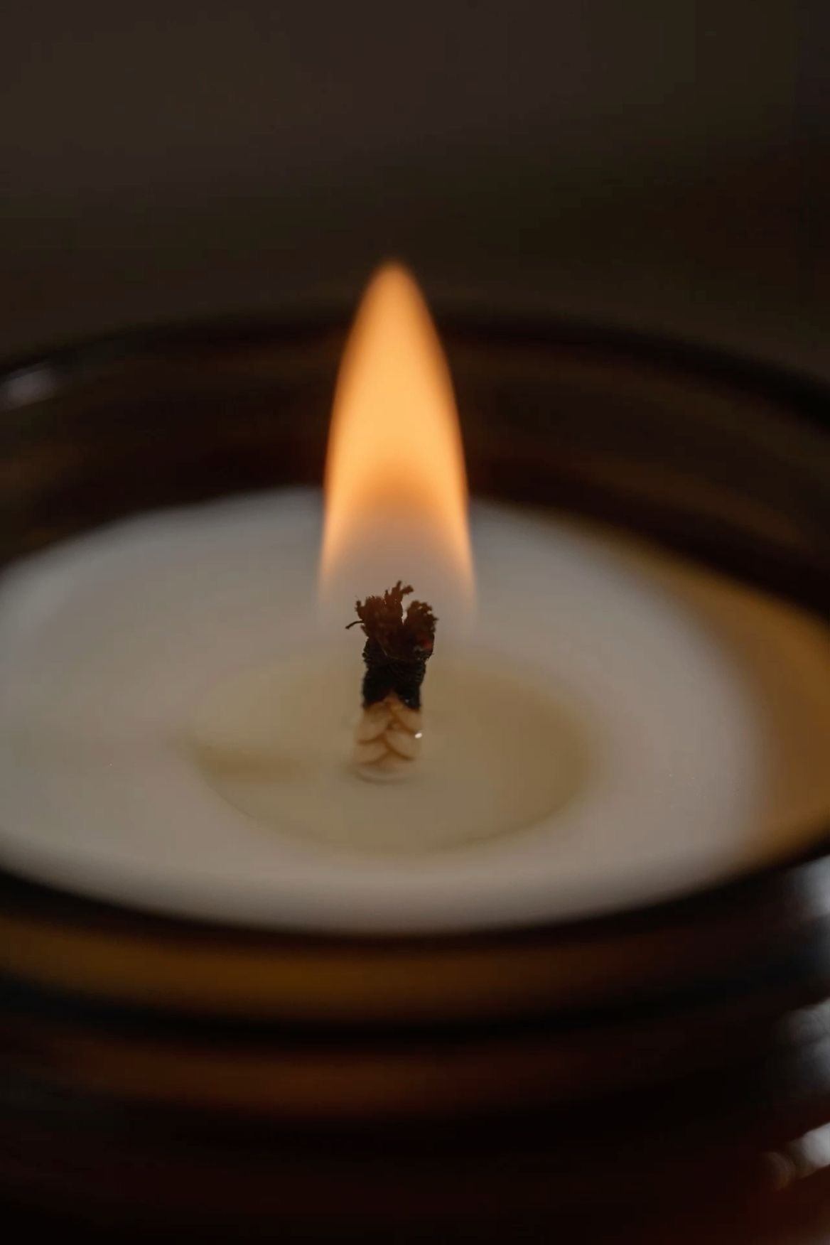 COCONUT + SHEA SOY WAX CANDLE